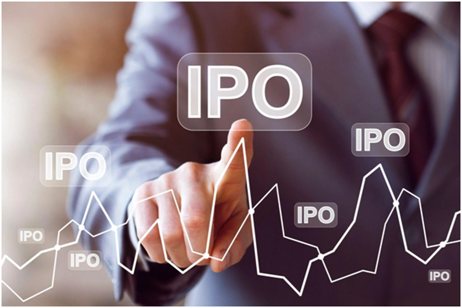 How to Assess the Growth Potential of Recent IPOs?