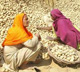 Food Security