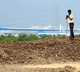 Gujarat Lands