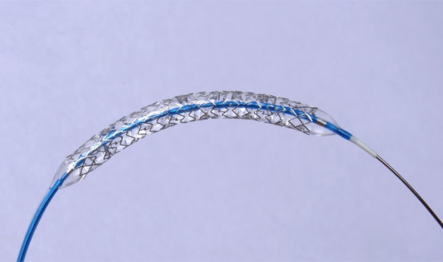 Coronary stent