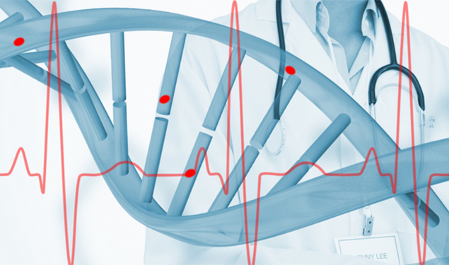 Heart Genes