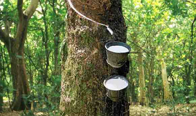 Rubber Industry
