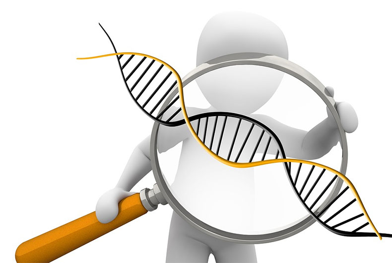 Autoimmune Diseases