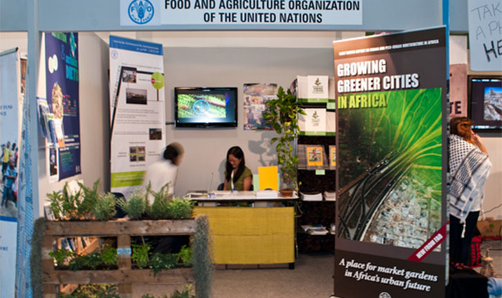 Food Poisoning Death