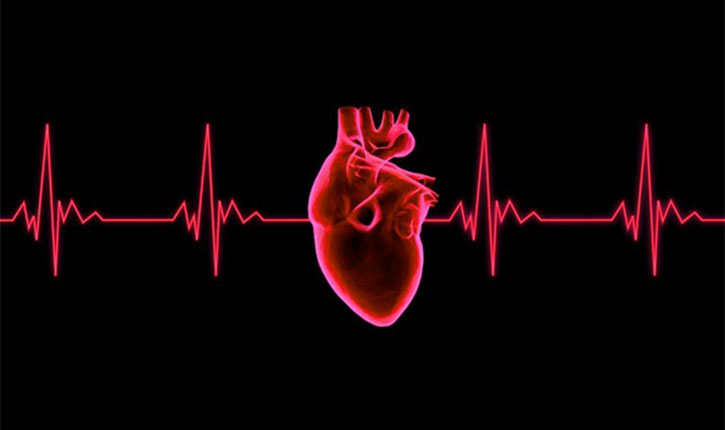 ECG New