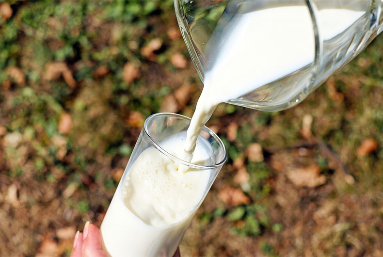 Cow Milk Gold