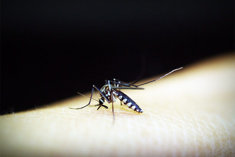 Malaria