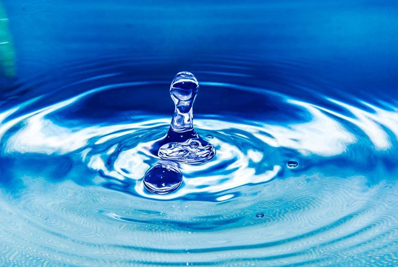 Prince Talal International Prize 2019 Winners