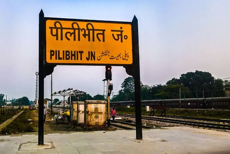 Total Illegal Immigrants in India