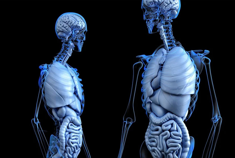 Covid impact on lungs