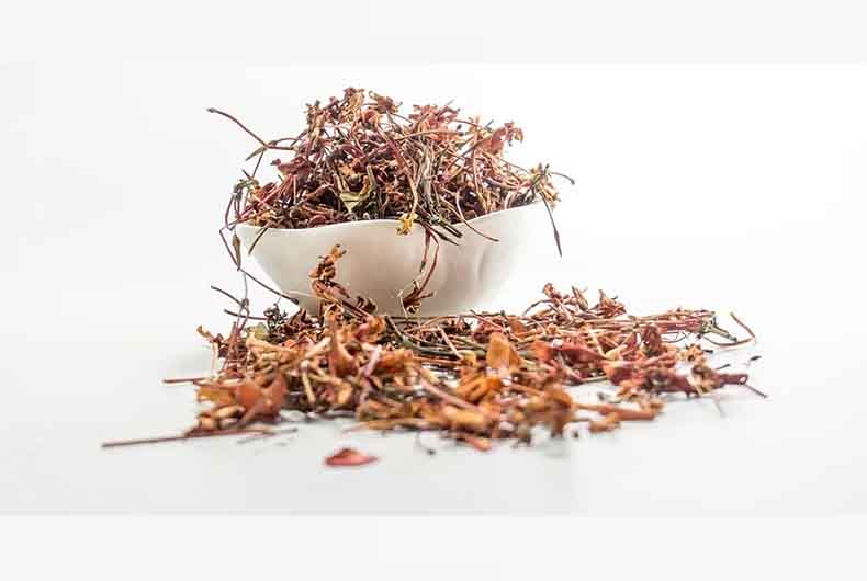 AYUSH Round 2 Maharashtra