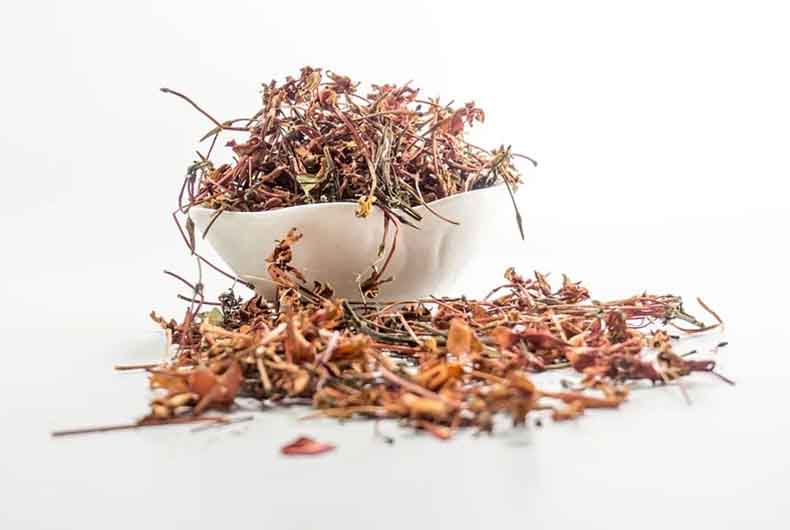 KEA AYUSH Counselling 2020