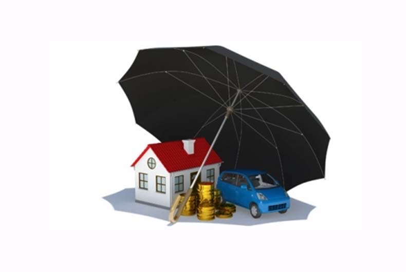 Insurance Companies Privatisation