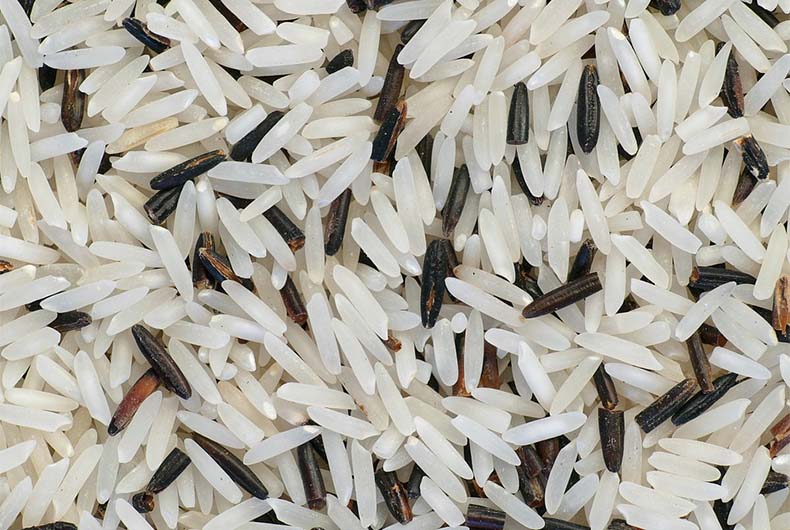 Basmati Rice