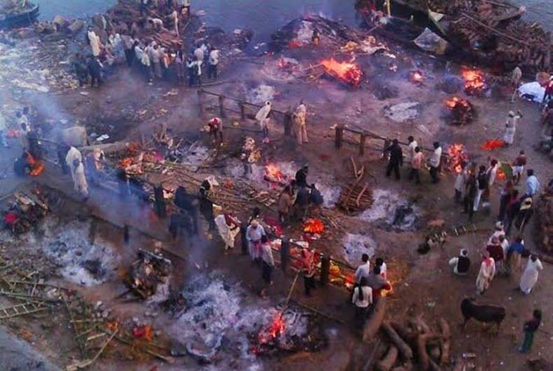 Tamil Nadu Covid deaths