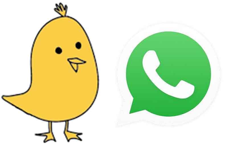WhatsApp Koo