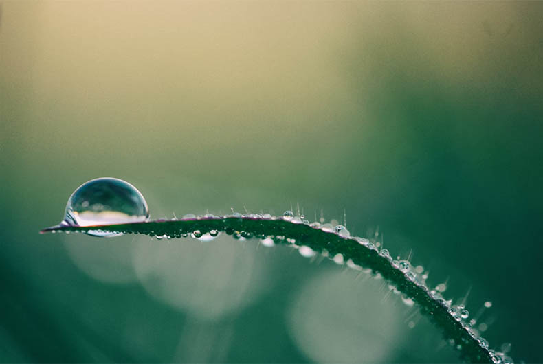 Water