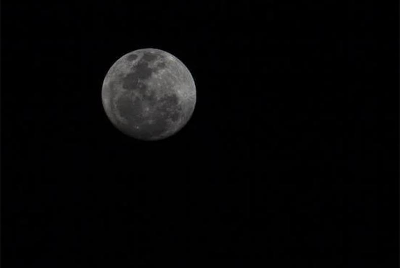 Japanese billionaire Maezawa to send 8 artists for private Moon journey