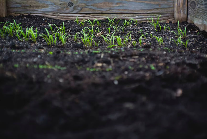 Organic Farming