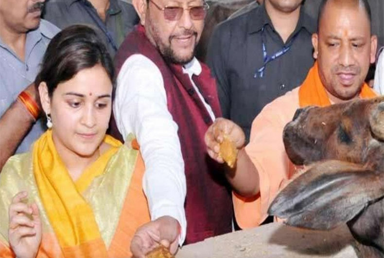 UP Election News