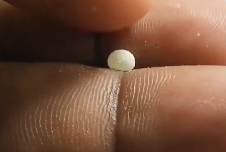 Developed: Liquid Marbles for Drug Delivery, Cascade Chemical Reactions