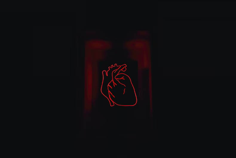 Male, female hearts respond differently to stress hormone