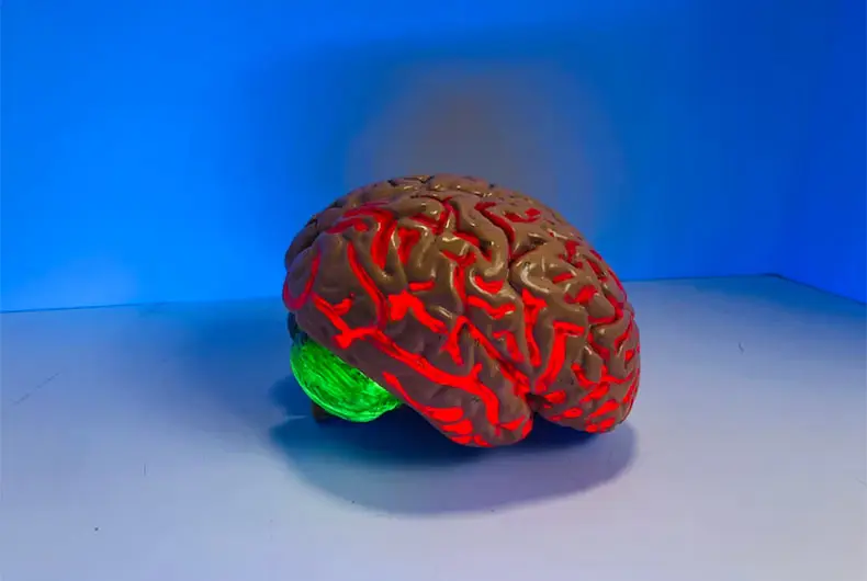 UNESCO to develop "ethical framework" to address concerns posed by AI brain implants