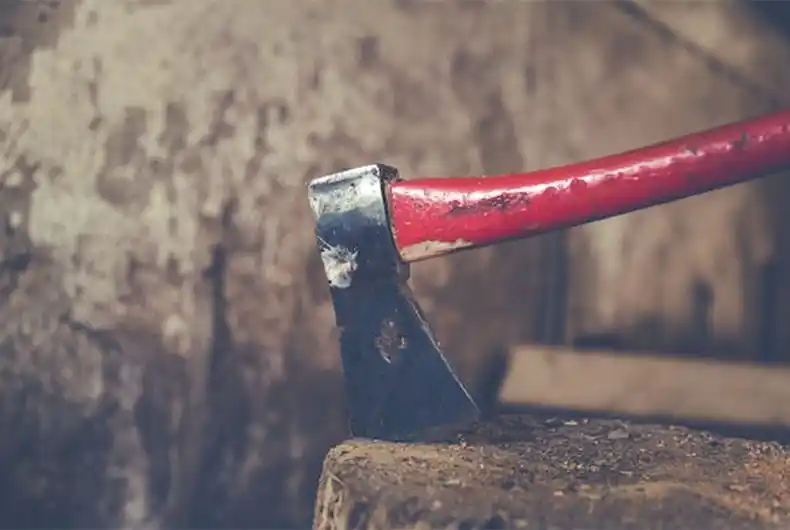 UP Horror: Wife kills husband, chops body into 5 pieces, throws them in canal