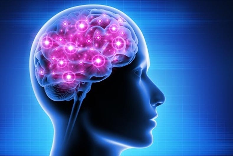 Chip Implant in Brain: Neuralink's application for human experiment rejected