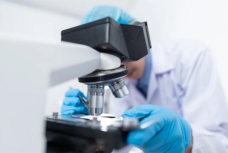 "RaTG13": Scientists detect closest known relatives of Covid in humans