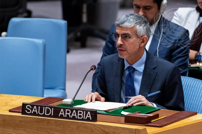 UN veto power abused to carry on genocide in Gaza: Saudi Arabia
