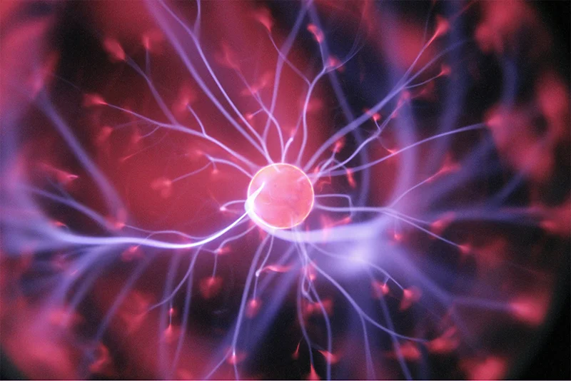 Released: World's First AI-Driven Digital Organism