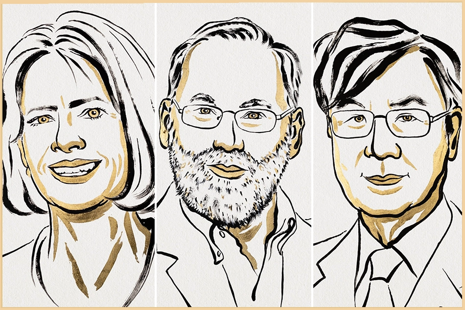 Physiology Nobel 2025 to Three for Human Immune System Research