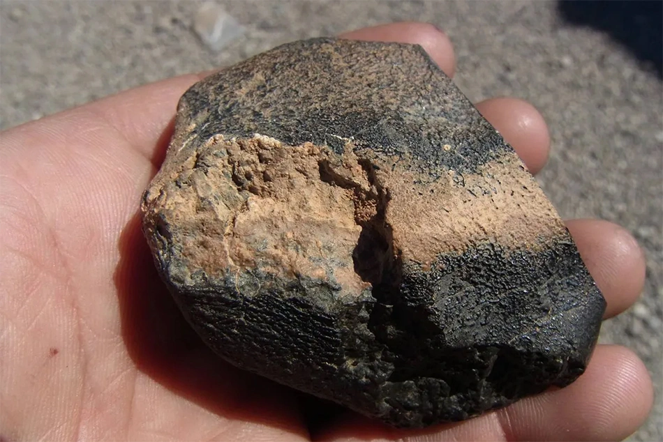 Researchers throw more light on 1.2bn-yr-old Mars meteorite