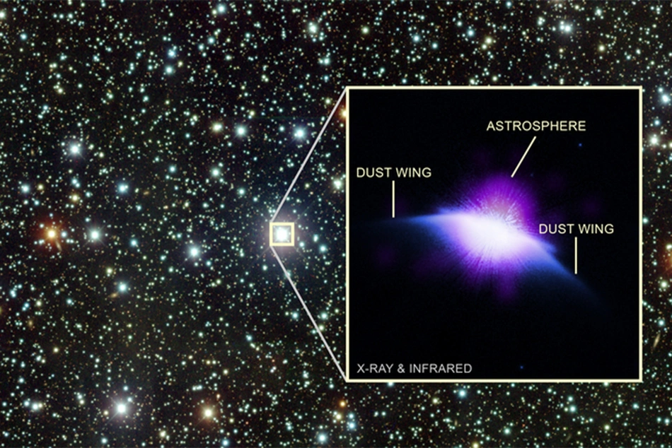 Juvenile 'Sun' caught red-handed doing this